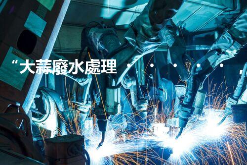 “大蒜廢水處理，綠色環(huán)保新篇章”